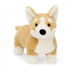 Huge Jelly Cats Betty Corgi | PGD-736958