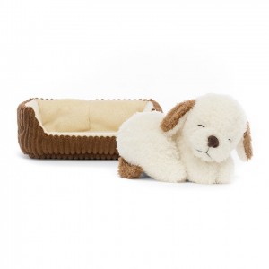 Jelly Cats Napping Nipper Dog | ALZ-628490