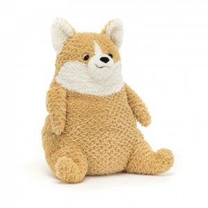 Medium Jelly Cats Amore Corgi | YHD-835026