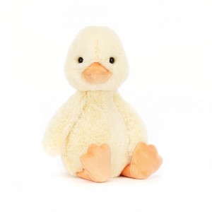 Medium Jelly Cats Bashful Duckling | LGB-873624