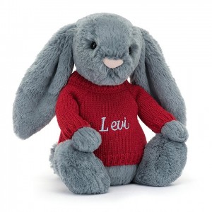 Medium Jelly Cats Bashful Dusky Blue Bunny with Personalised Red Jumper | RNK-325184