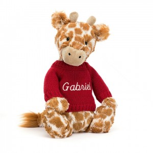 Medium Jelly Cats Bashful Giraffe with Personalised Red Jumper | DYU-907681