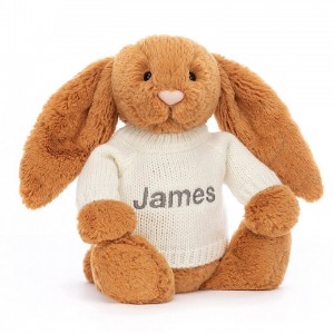 Medium Jelly Cats Bashful Golden Bunny with Personalised Cream Jumper | YFQ-861943