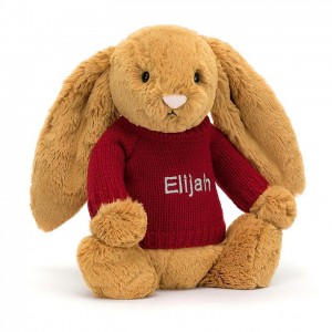 Medium Jelly Cats Bashful Golden Bunny with Personalised Red Jumper | EHZ-379041