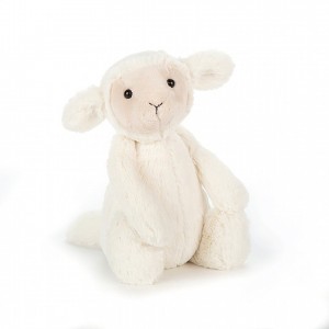 Medium Jelly Cats Bashful Lamb | PIO-284790