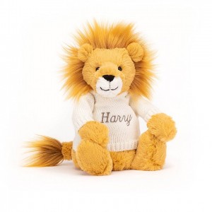 Medium Jelly Cats Bashful Lion with Personalised Cream Jumper | IUK-182734