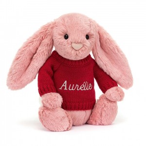 Medium Jelly Cats Bashful Petal Bunny with Personalised Red Jumper | UKV-657928