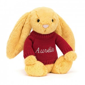 Medium Jelly Cats Bashful Sunshine Bunny with Personalised Red Jumper | QVR-049381