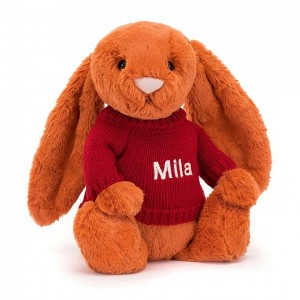 Medium Jelly Cats Bashful Tangerine Bunny with Personalised Red Jumper | WMH-651049