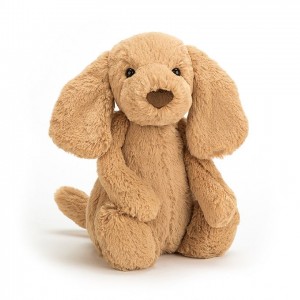 Medium Jelly Cats Bashful Toffee Puppy | OTS-254360