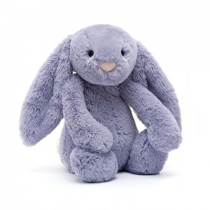 Medium Jelly Cats Bashful Viola Bunny | IFP-498260