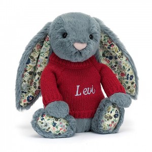 Medium Jelly Cats Blossom Dusky Blue Bunny with Personalised Red Jumper | IYW-243951