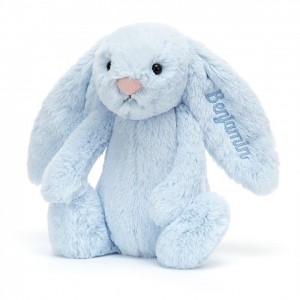 Medium Jelly Cats Personalised Bashful Blue Bunny | NRV-017452