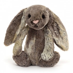 Medium Jelly Cats Personalised Bashful Cottontail Bunny | LFB-721586