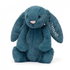 Medium Jelly Cats Personalised Bashful Mineral Blue Bunny | WRJ-647159