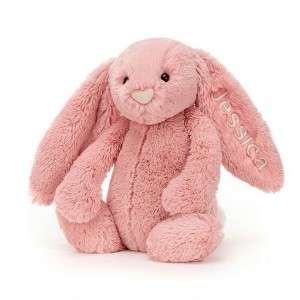 Medium Jelly Cats Personalised Bashful Petal Bunny | VUC-673594