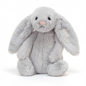 Medium Jelly Cats Personalised Bashful Silver Bunny | EZY-519680