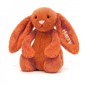 Medium Jelly Cats Personalised Bashful Tangerine Bunny | SWD-794513