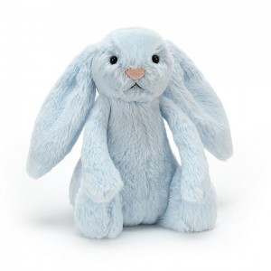 Small Jelly Cats Bashful Blue Bunny Rattle | PCL-048365