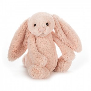 Tiny Jelly Cats Bashful Blush Bunny | DKW-298713