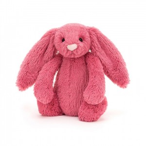 Tiny Jelly Cats Bashful Cerise Bunny | CXA-025938