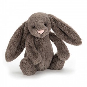 Tiny Jelly Cats Bashful Truffle Bunny | BPC-936120