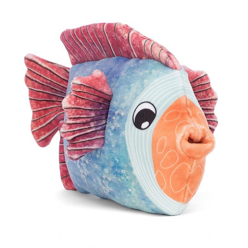 Jelly Cats Fishiful Blue | OLS-208965