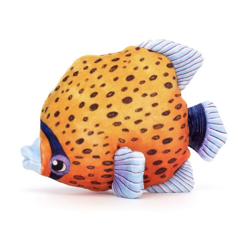 Jelly Cats Fishiful Orange | BYK-270938