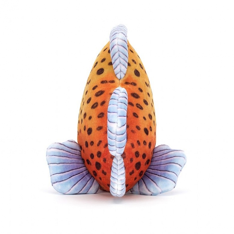 Jelly Cats Fishiful Orange | BYK-270938