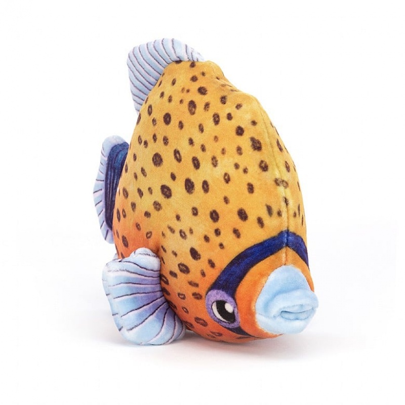 Jelly Cats Fishiful Orange | BYK-270938