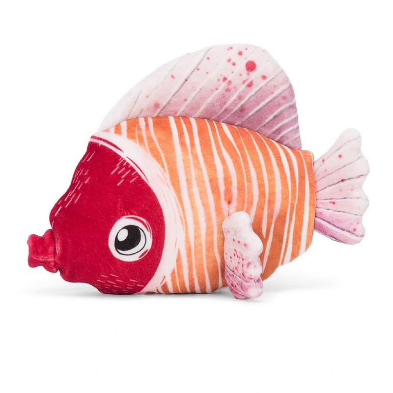 Jelly Cats Fishiful Pink | WCY-510428