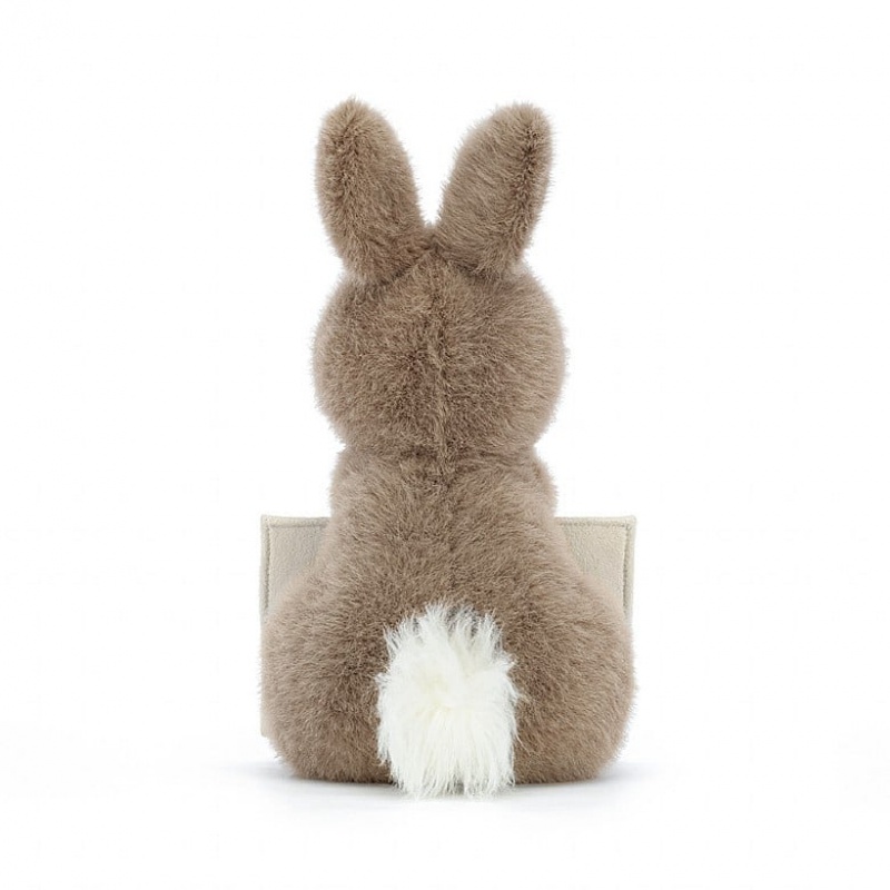 Jelly Cats Messenger Bunny | ECT-903512