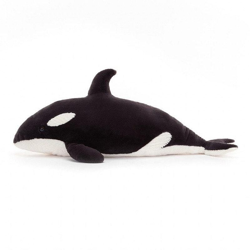 Jelly Cats Ollivander the Orca | AKC-238197