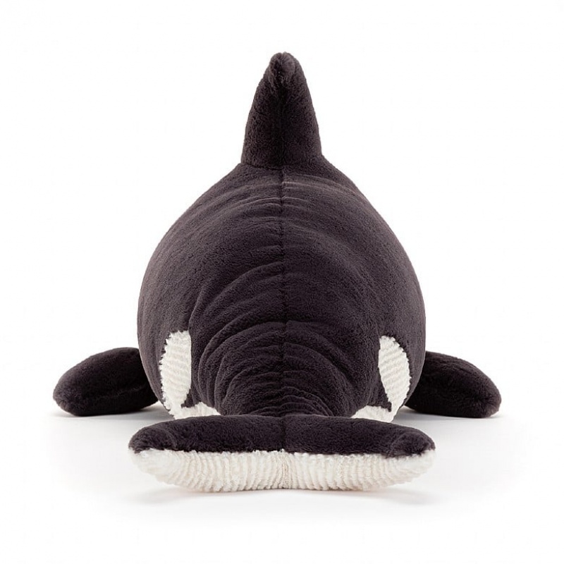 Jelly Cats Ollivander the Orca | AKC-238197