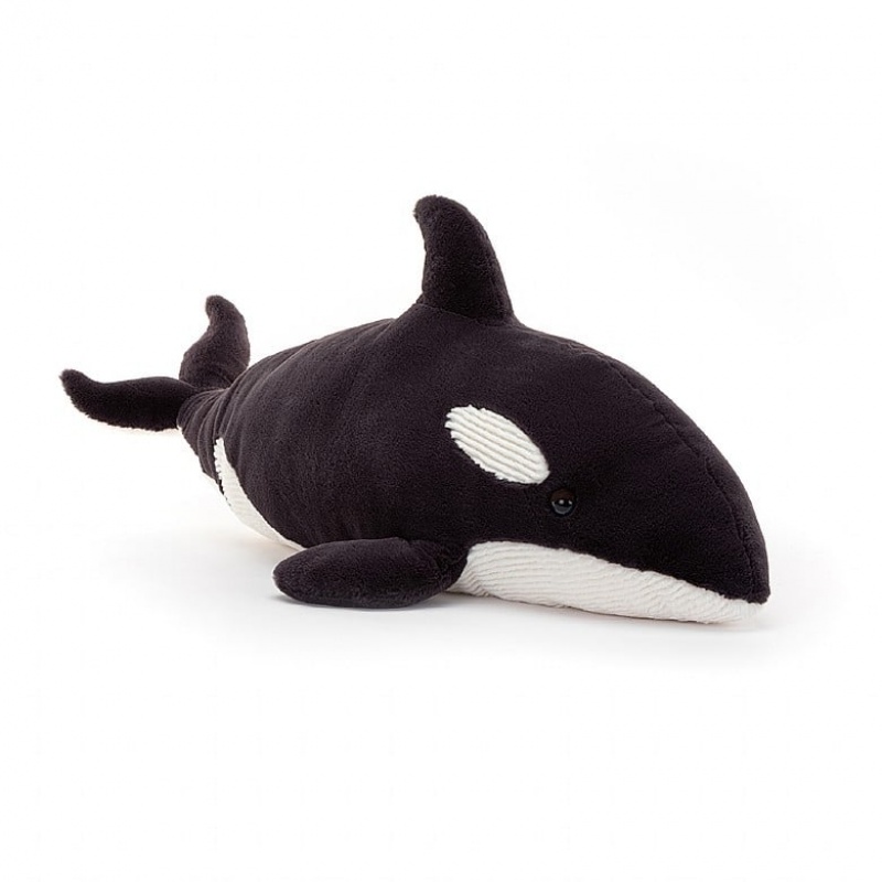 Jelly Cats Ollivander the Orca | AKC-238197