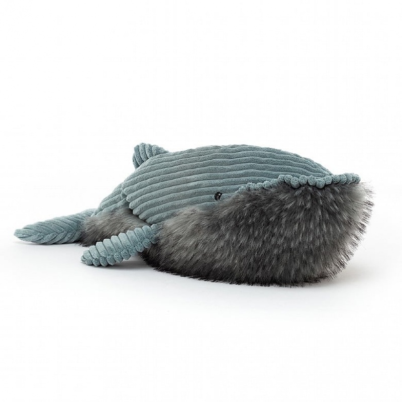 Large Jelly Cats Wiley Whale | LXP-521463