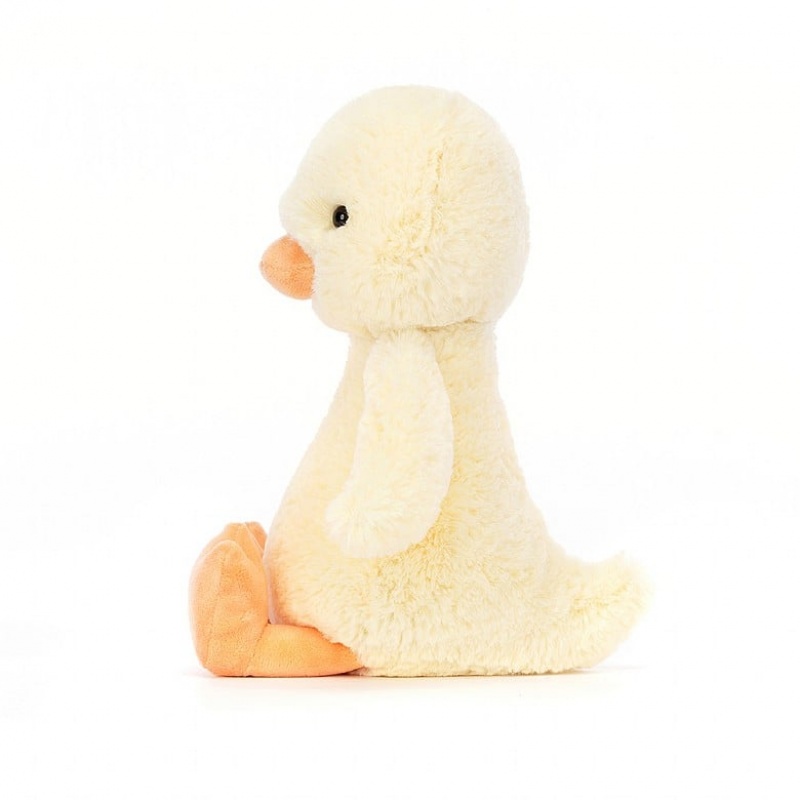 Medium Jelly Cats Bashful Duckling | LGB-873624