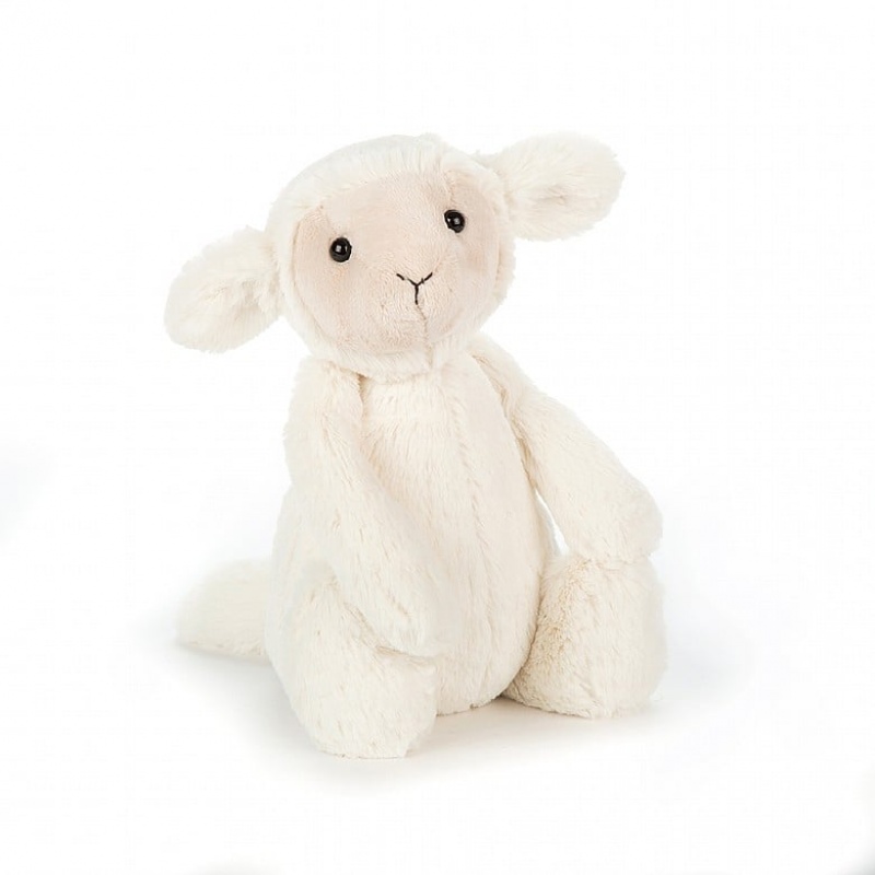 Medium Jelly Cats Bashful Lamb | PIO-284790