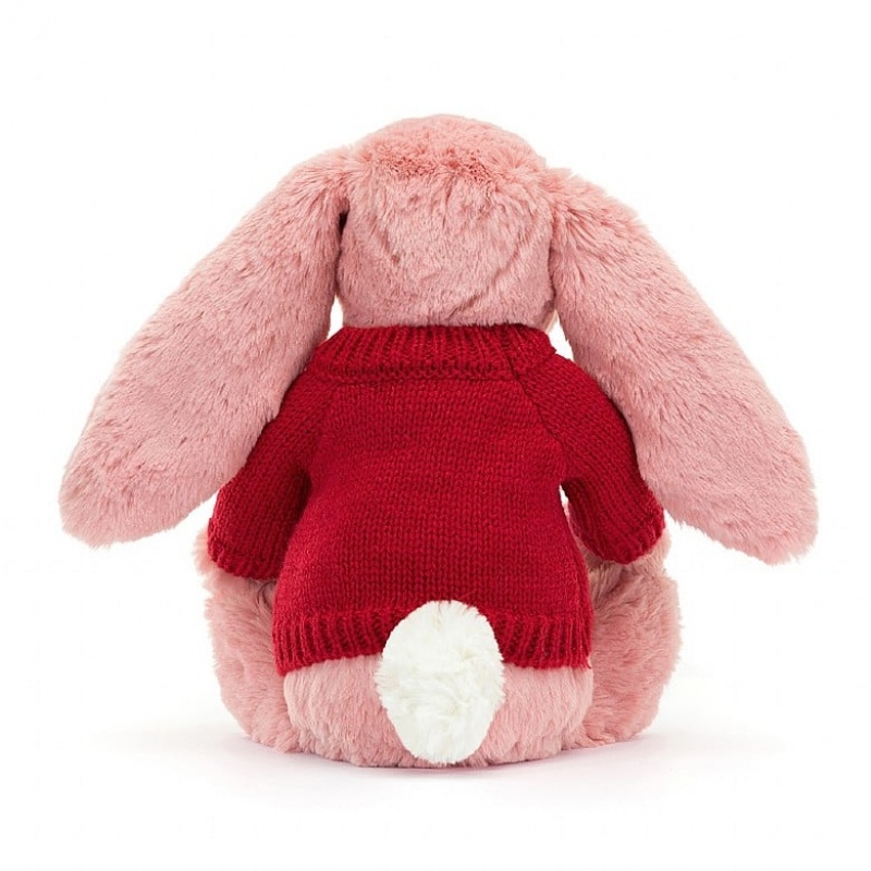 Medium Jelly Cats Bashful Petal Bunny with Personalised Red Jumper | ZCF-601945