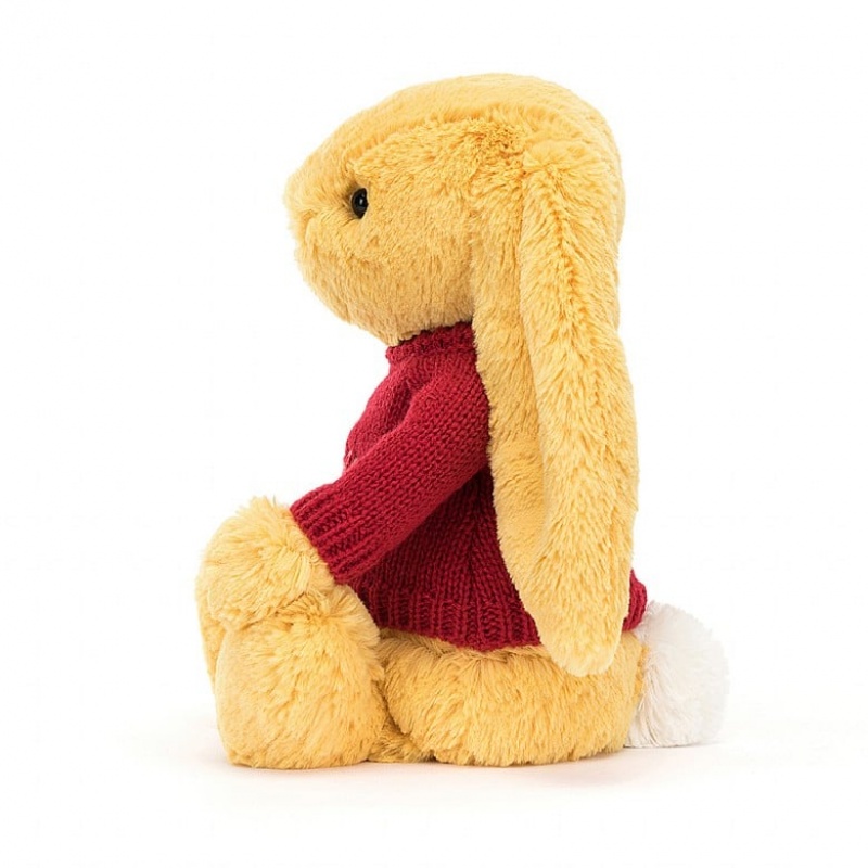 Medium Jelly Cats Bashful Sunshine Bunny with Personalised Red Jumper | QVR-049381