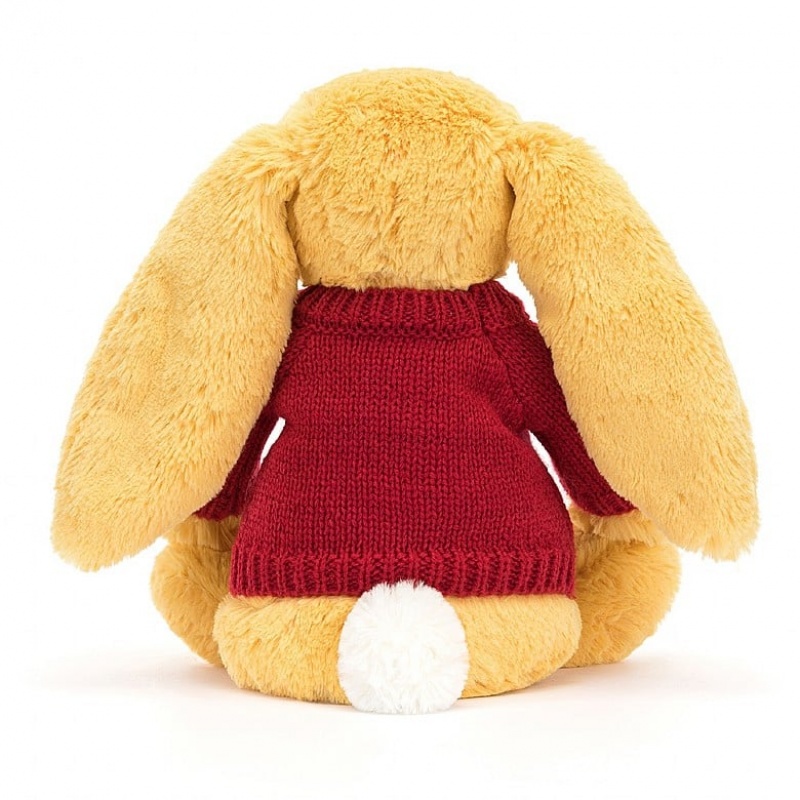 Medium Jelly Cats Bashful Sunshine Bunny with Personalised Red Jumper | QVR-049381