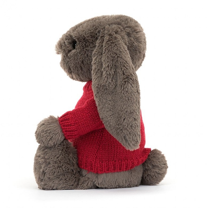 Medium Jelly Cats Bashful Truffle Bunny with Personalised Red Jumper | ONQ-903851