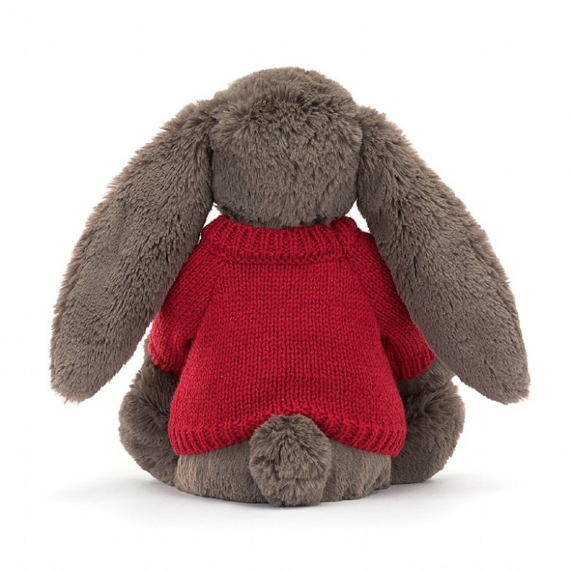 Medium Jelly Cats Bashful Truffle Bunny with Personalised Red Jumper | ONQ-903851