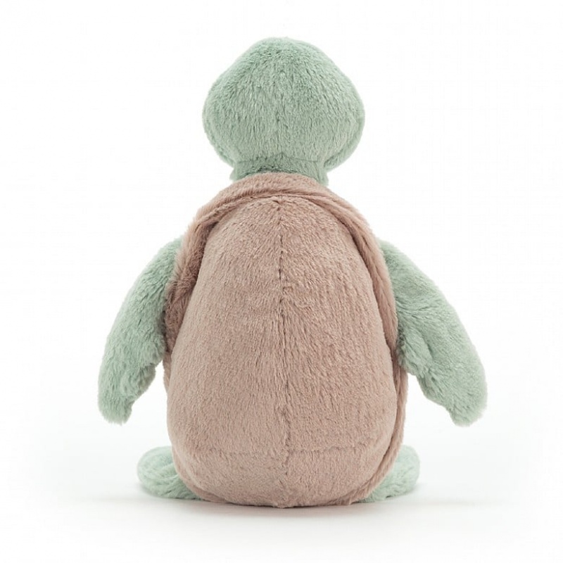 Medium Jelly Cats Bashful Turtle | LZE-274901