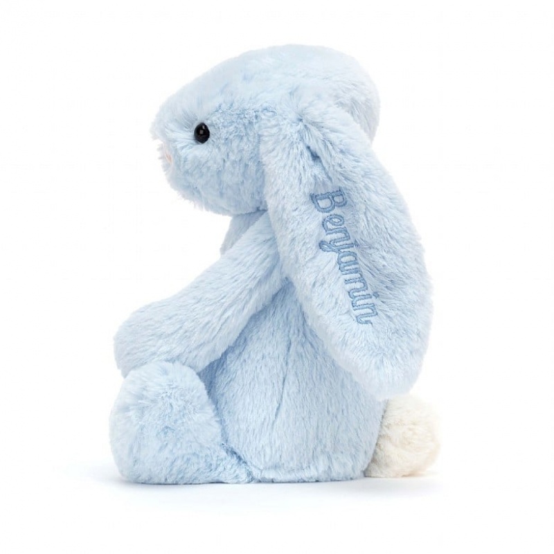 Medium Jelly Cats Personalised Bashful Blue Bunny | BIQ-394175