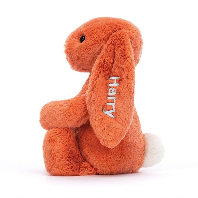 Medium Jelly Cats Personalised Bashful Tangerine Bunny | SWD-794513