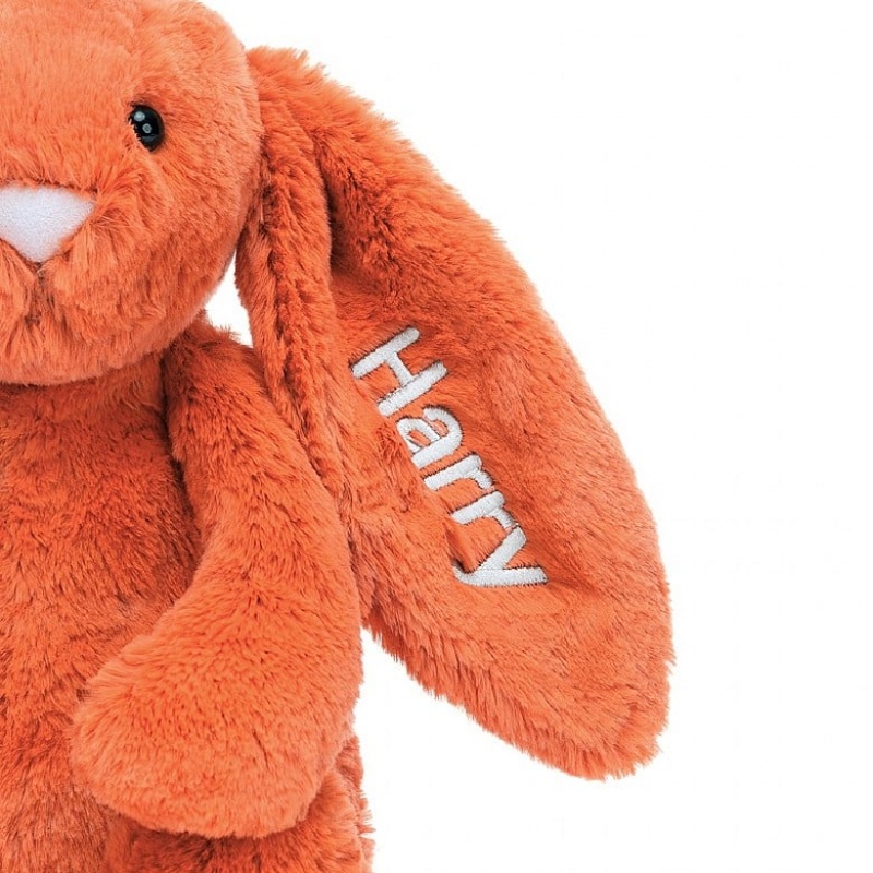 Medium Jelly Cats Personalised Bashful Tangerine Bunny | SWD-794513