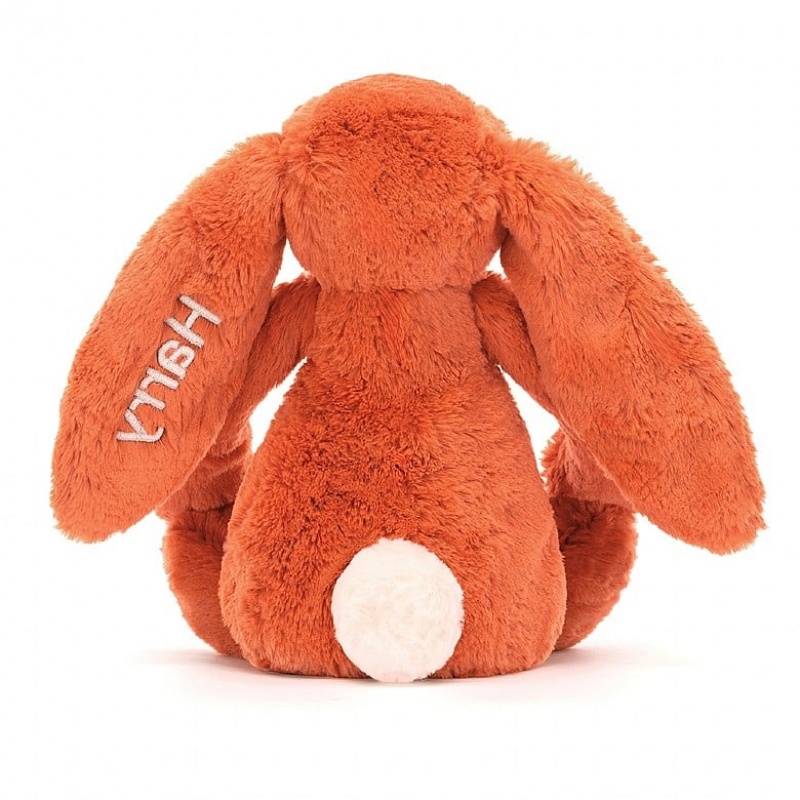 Medium Jelly Cats Personalised Bashful Tangerine Bunny | SWD-794513