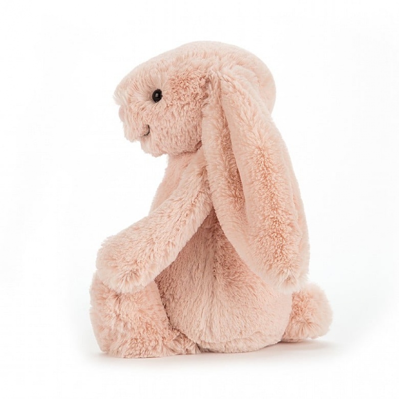 Tiny Jelly Cats Bashful Blush Bunny | DKW-298713