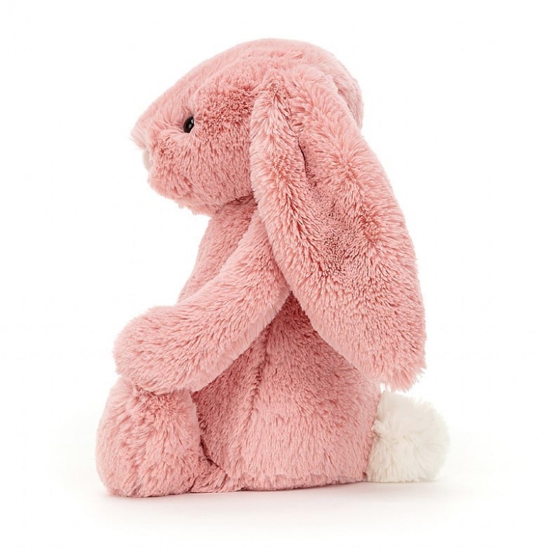 Tiny Jelly Cats Bashful Petal Bunny | WVD-370429